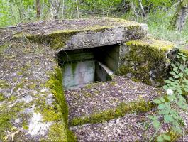 Ligne Maginot - TAUBRUNNENWALD 12 - FT - (Blockhaus pour arme infanterie) - 