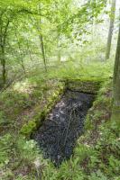 Ligne Maginot - TAUBRUNNENWALD 11 - (Blockhaus de type indeterminé) -                            