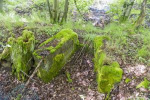 Ligne Maginot - TAUBRUNNENWALD 10 - (Cuve pour arme d'infanterie) -                           