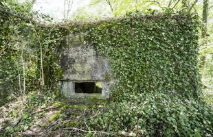 Ligne Maginot - DB317 - BOIS DE BEUVEILLE  OUEST 2 - (Blockhaus pour canon) - 