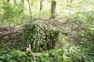 Ligne Maginot - DB317 - BOIS DE BEUVEILLE  OUEST 2 - (Blockhaus pour canon) - Un niche pour munitions