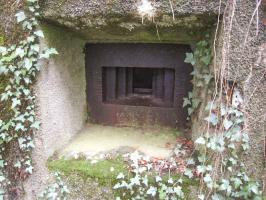 Ligne Maginot - DB329 - BOIS DE LA HEURETTE EST - (Blockhaus pour canon) - Vue rapprochée du créneau