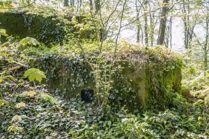 Ligne Maginot - DB329 - BOIS DE LA HEURETTE EST - (Blockhaus pour canon) - L'annexe