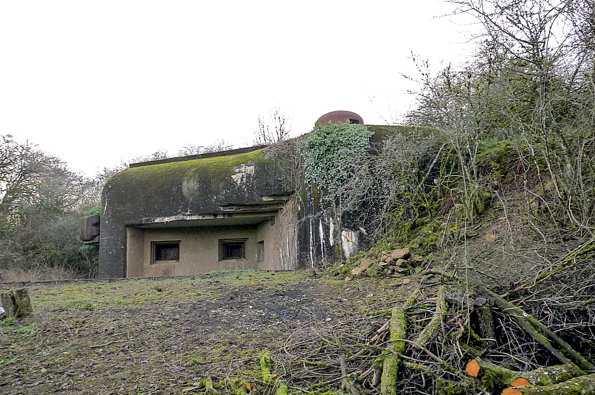 Ligne Maginot - ESCHERANGE EST - C38 - (Casemate d'infanterie - Simple) - Débroussaillage en cours en vue d'un sentier