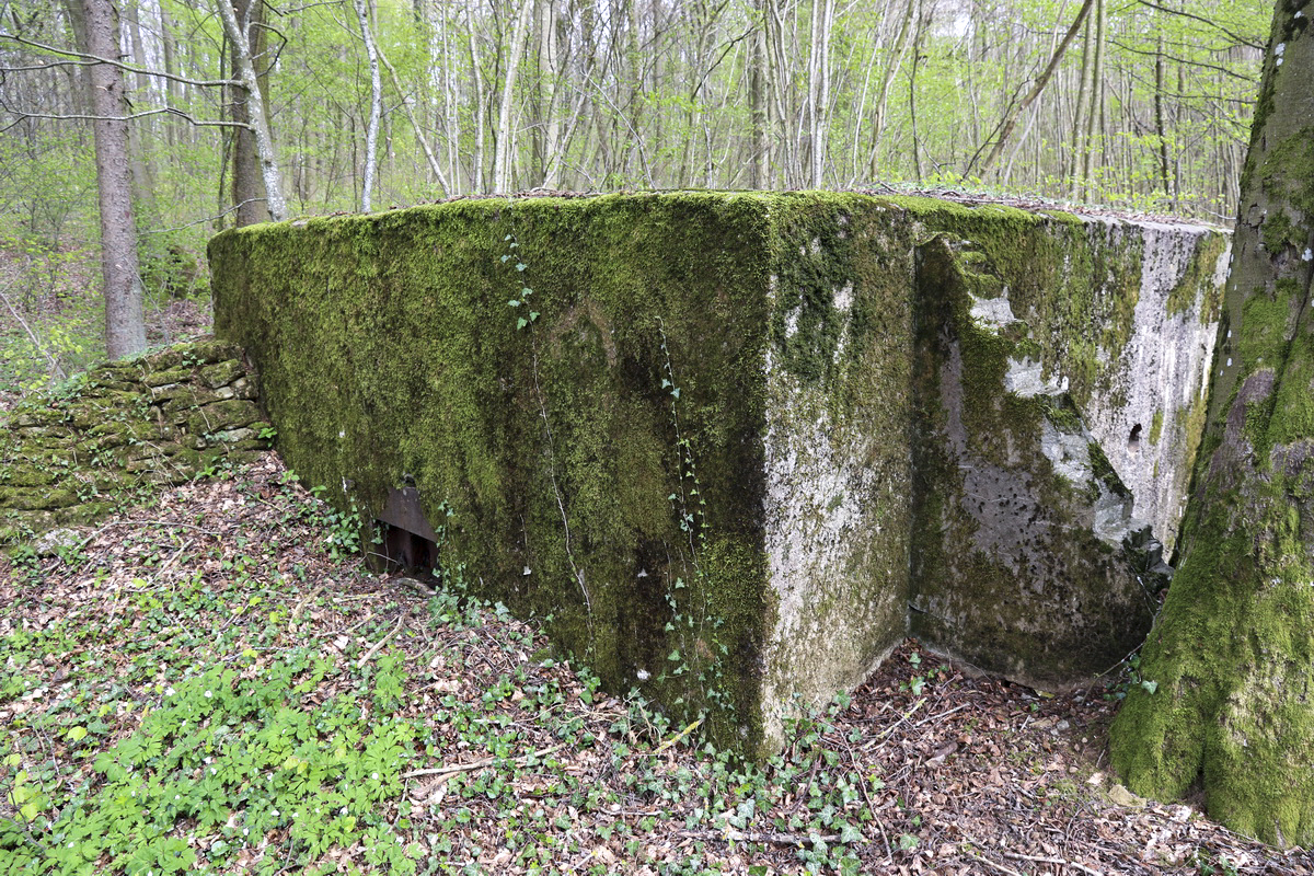 Ligne Maginot - CB332 - GINSKLOPP SUD - (Blockhaus pour arme infanterie) - 