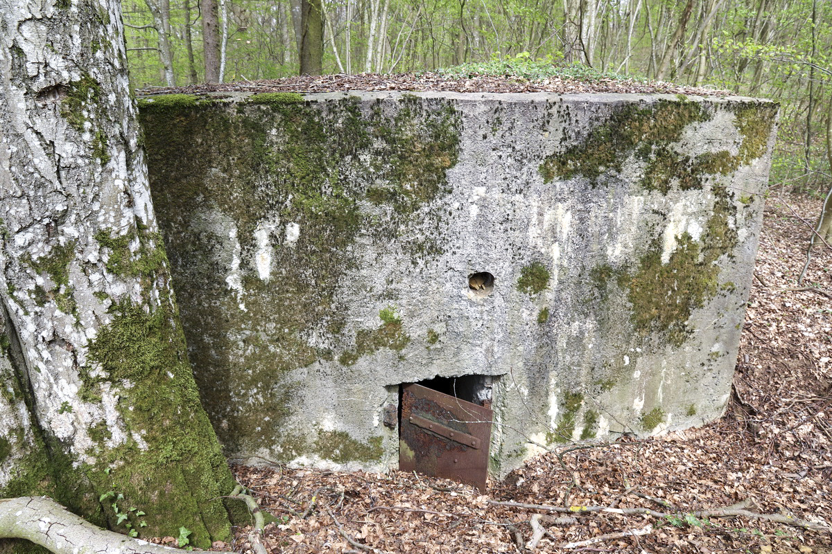 Ligne Maginot - CB332 - GINSKLOPP SUD - (Blockhaus pour arme infanterie) - 