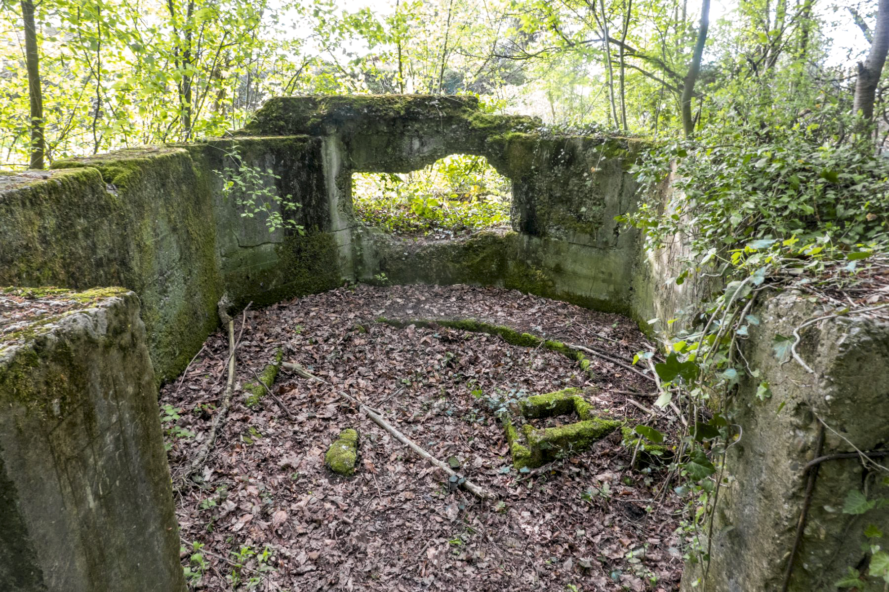 Ligne Maginot - NIEDERBETSCHDORF 2 - (Cuve pour canon) - 