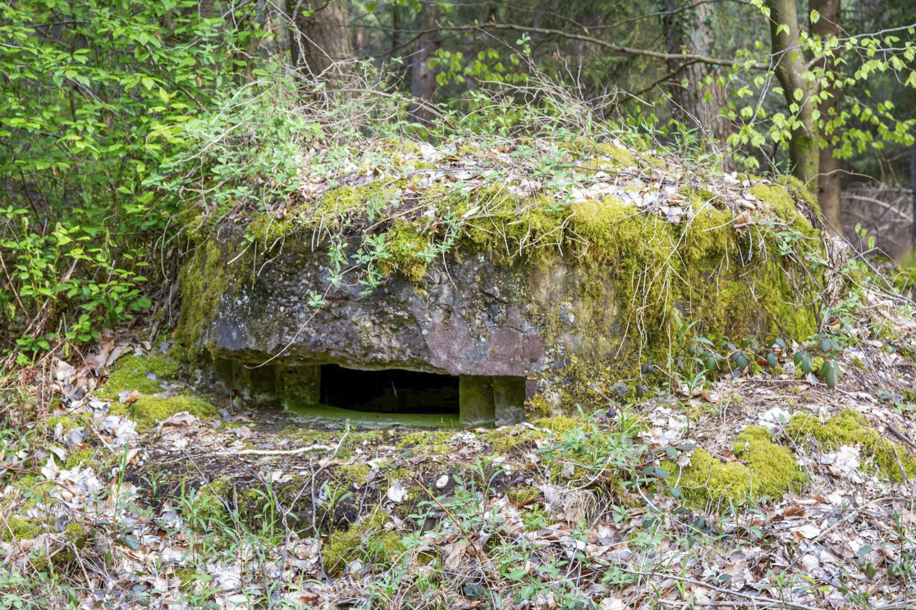 Ligne Maginot - RENDEZ VOUS DE CHASSE 2 - (Blockhaus pour arme infanterie) - 