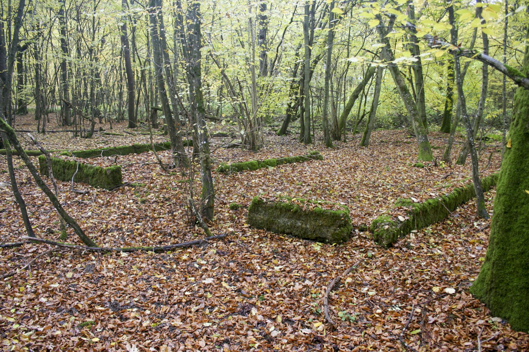 Ligne Maginot - SOETRICH - (Casernement) - 