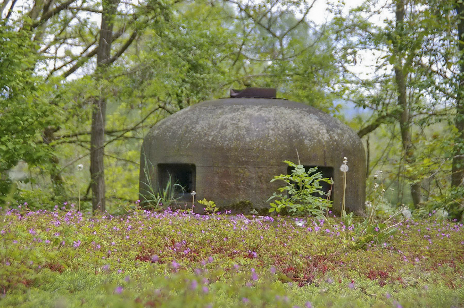 Ligne Maginot - 11/1 - CHALAMPE BERGE NORD - (Casemate d'infanterie - Double) - Cloche