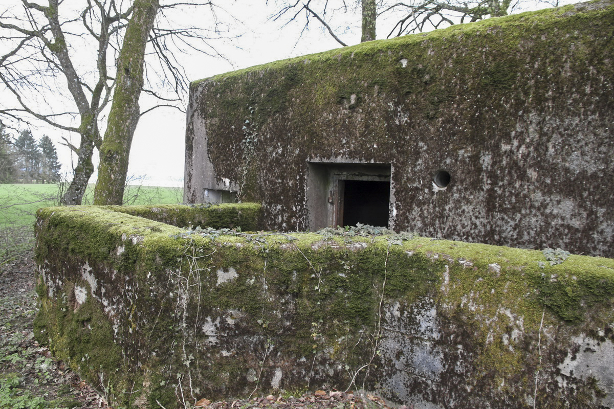 Ligne Maginot - MOLSCHPRICH NORD - (Blockhaus pour arme infanterie) - 