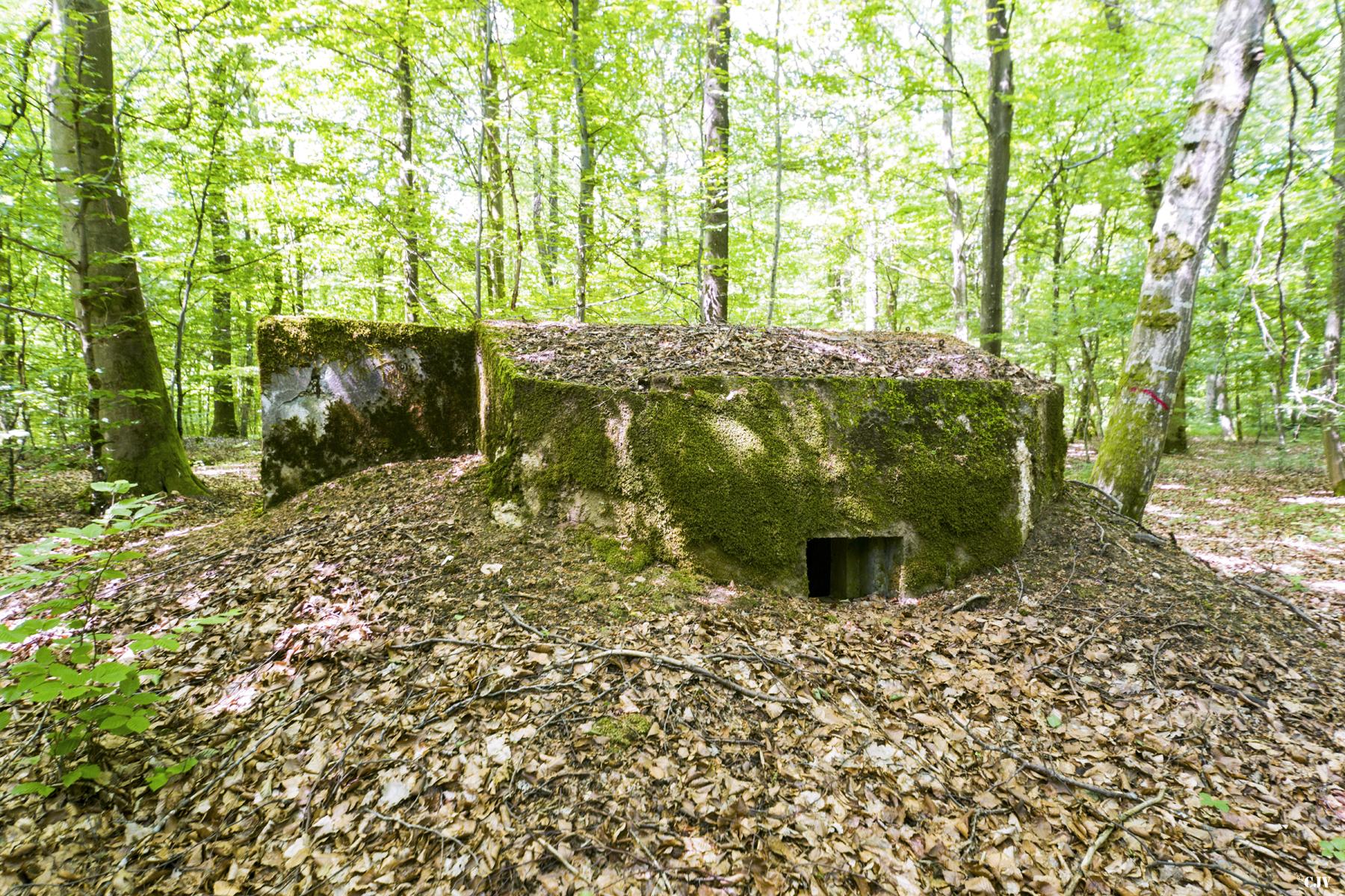 Ligne Maginot - SCHEIDWALD 6 - (Blockhaus pour arme infanterie) -                  