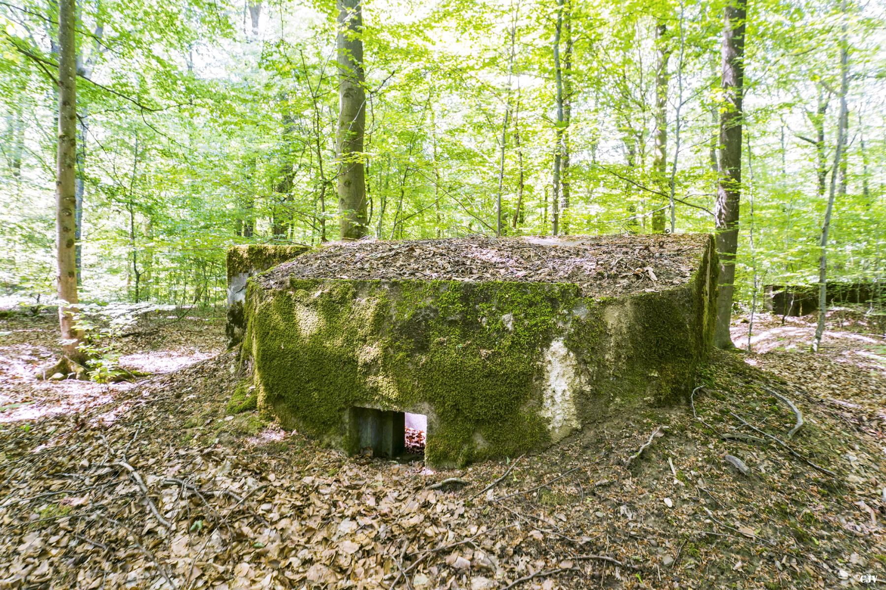 Ligne Maginot - SCHEIDWALD 6 - (Blockhaus pour arme infanterie) -                 