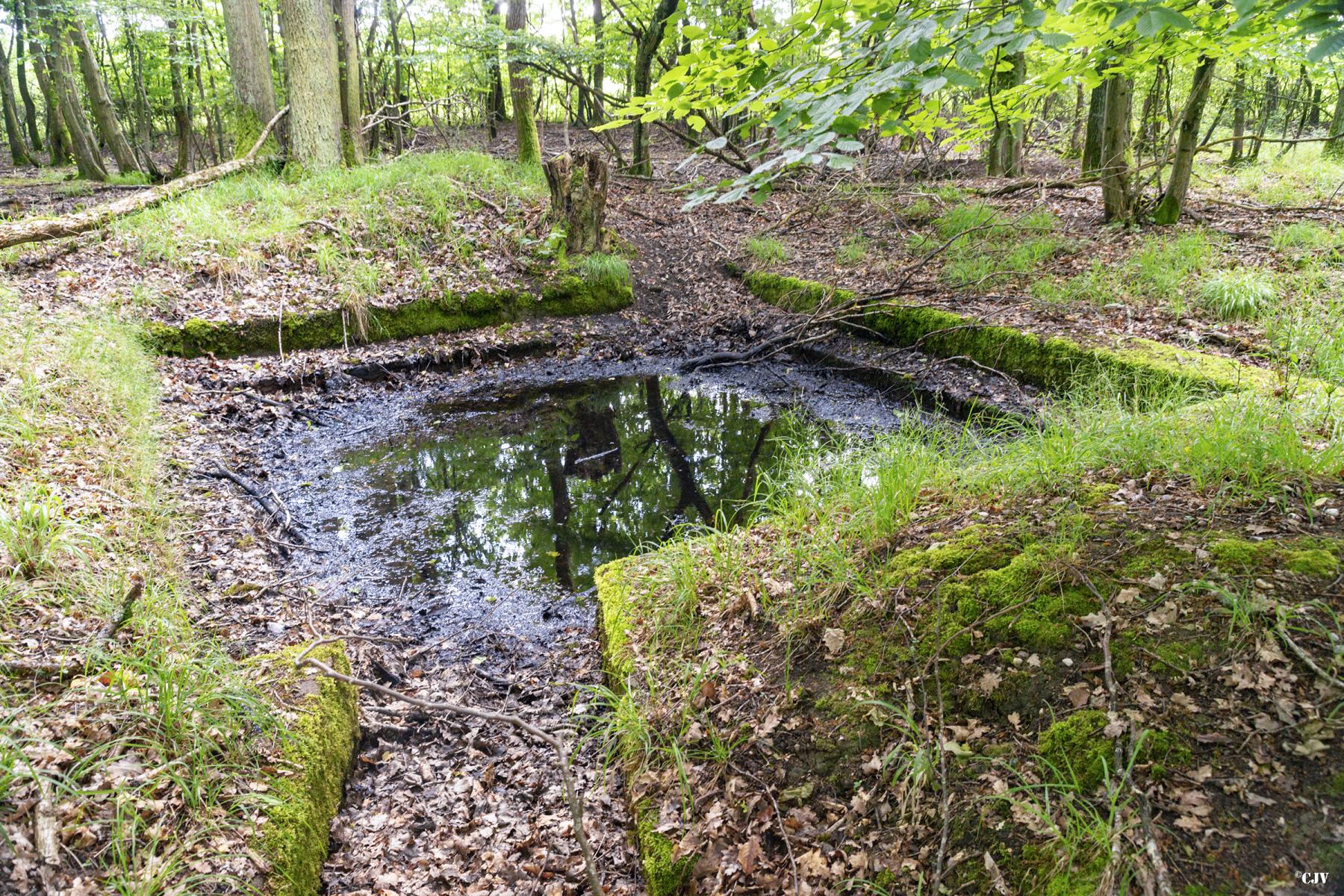 Ligne Maginot - TAUBRUNNENWALD 2 - (Cuve pour canon) -          