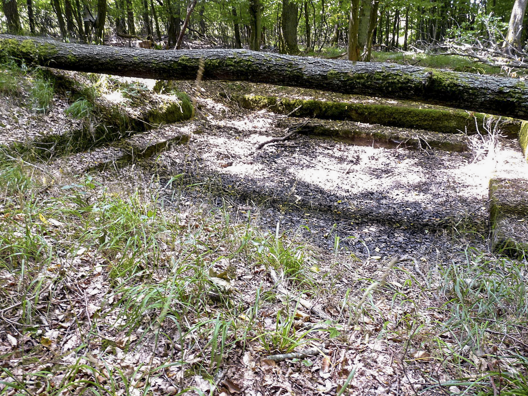 Ligne Maginot - TAUBRUNNENWALD 2 - (Cuve pour canon) - L'emplacement à sec