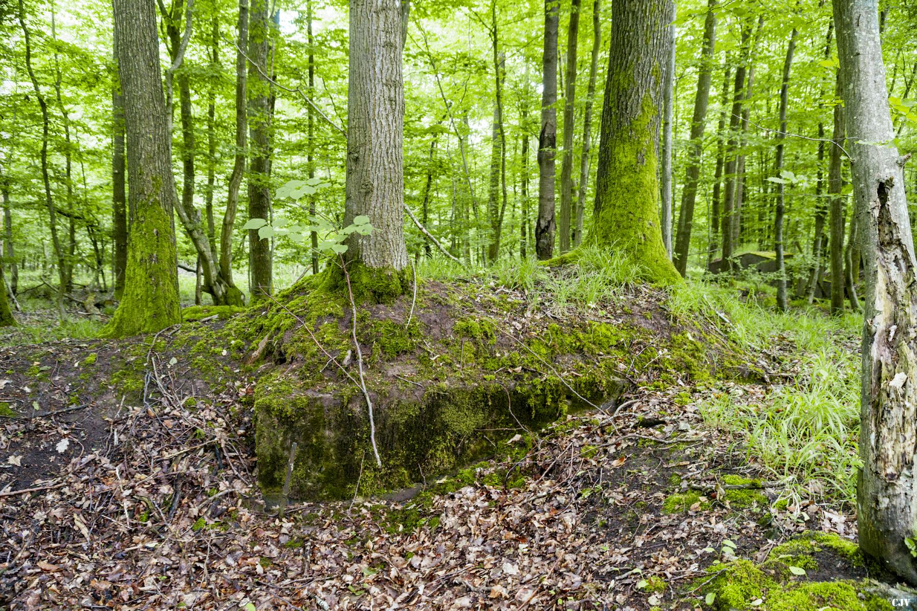 Ligne Maginot - TAUBRUNNENWALD 3 - (Abri) -            