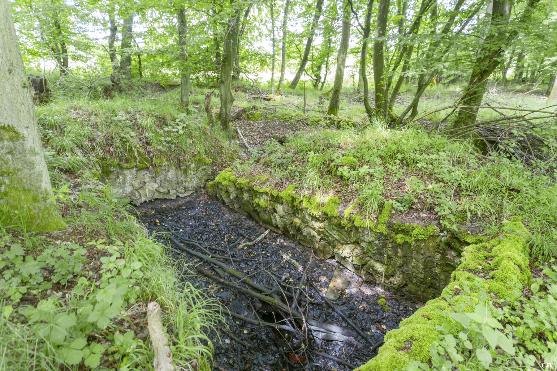 Ligne Maginot - TAUBRUNNENWALD 11 - (Blockhaus de type indeterminé) -                           