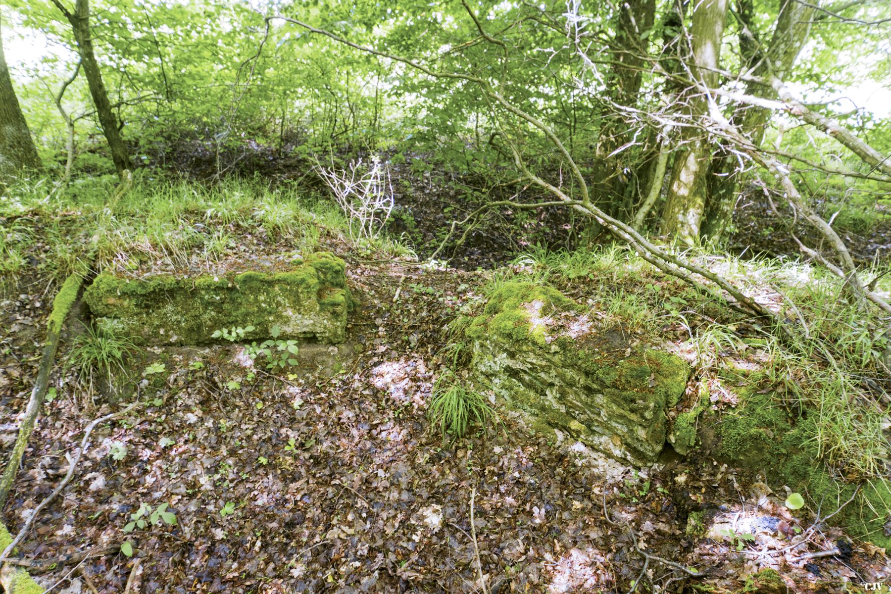 Ligne Maginot - TAUBRUNNENWALD 11 - (Blockhaus de type indeterminé) - Partie muré tout proche                           