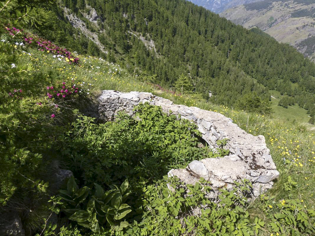 Ligne Maginot - COL DE RAUS - C5 - (Cuve pour arme d'infanterie) - 