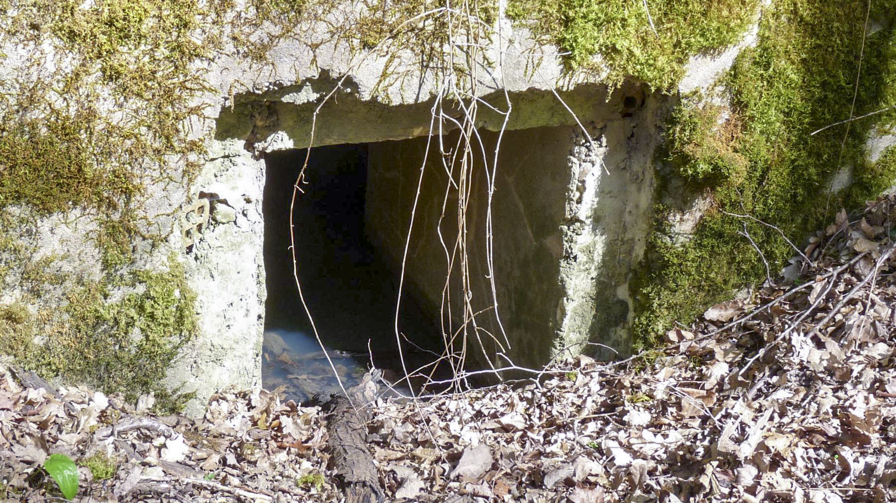 Ligne Maginot - LES TRICHES 2 - (Blockhaus pour arme infanterie) - L'entrée 