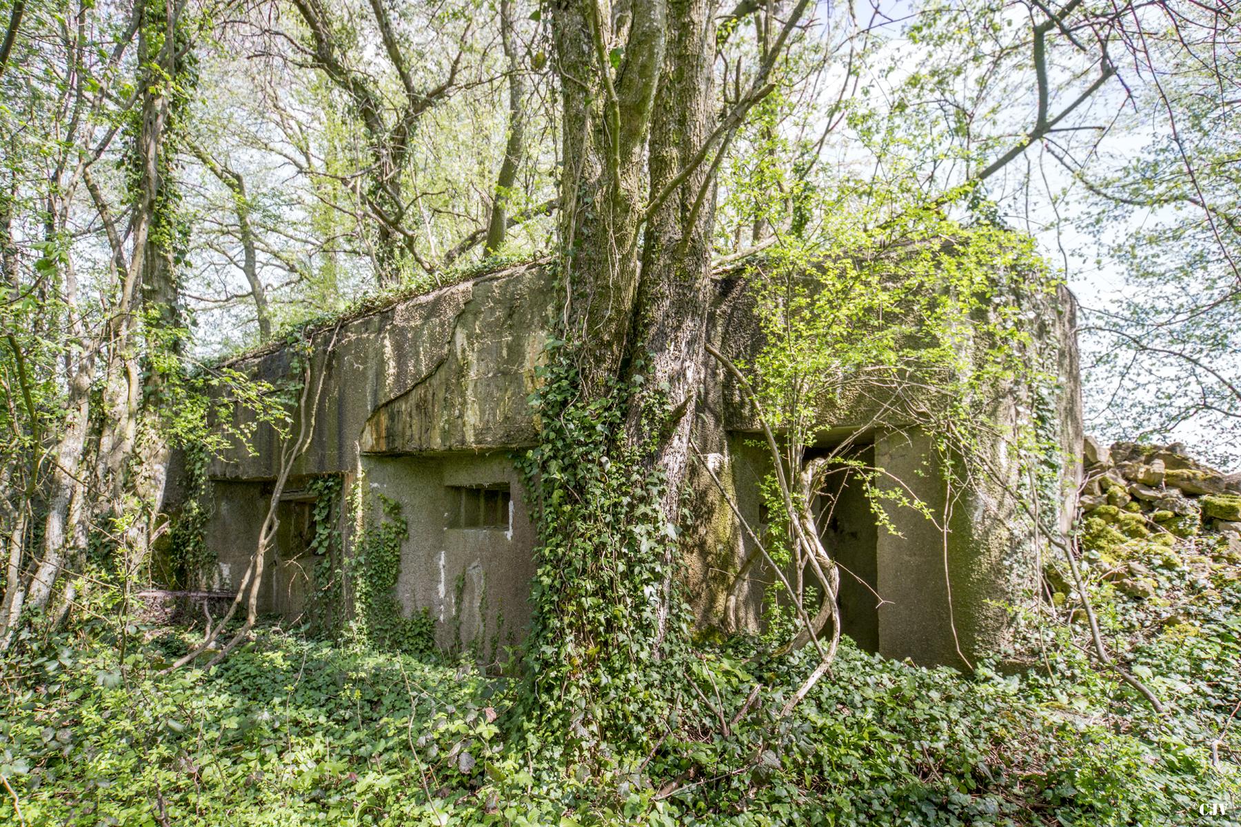 Ligne Maginot - DB34 - LA HAIE AUX MURES - (Blockhaus pour canon) - 