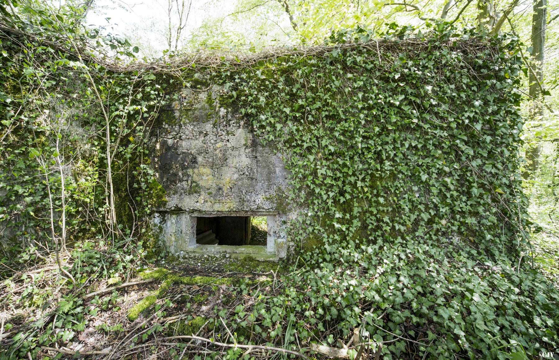 Ligne Maginot - DB317 - BOIS DE BEUVEILLE  OUEST 2 - (Blockhaus pour canon) - Le créneau