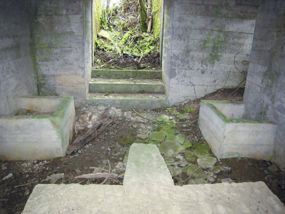 Ligne Maginot - DB319 - LA MARCHIERE - (Blockhaus pour canon) - L'emplacement pour le canon