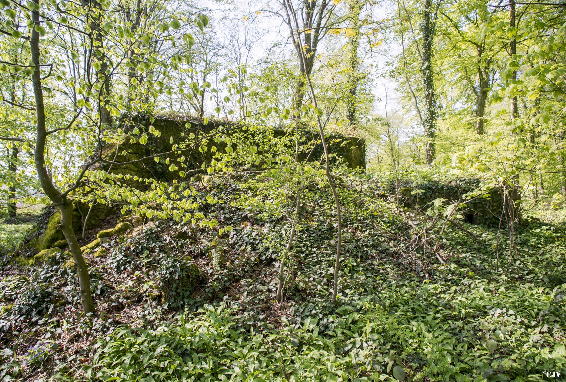 Ligne Maginot - DB329 - BOIS DE LA HEURETTE EST - (Blockhaus pour canon) - Le blockhaus et son petit annexe