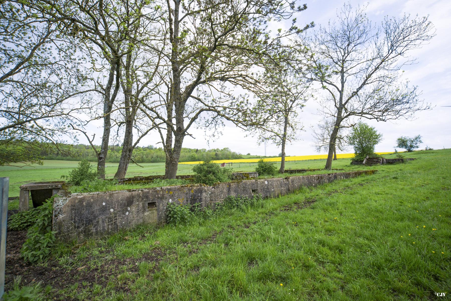 Ligne Maginot - TAPPE - ANGUILLE - (Casernement) - 