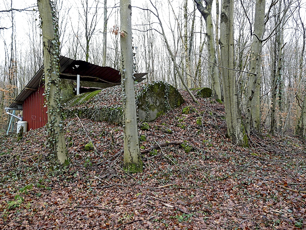 Ligne Maginot - BOIS DE BRETISE NORD - (PC) -   