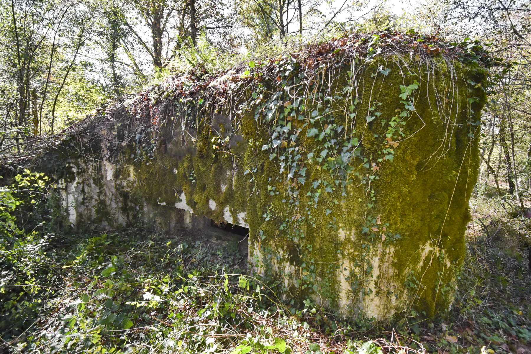 Ligne Maginot - PA DU CARREFOUR 248-1 - (Blockhaus pour canon) - Façade Sud-Est, avec créneau canon, et le mur d'aile