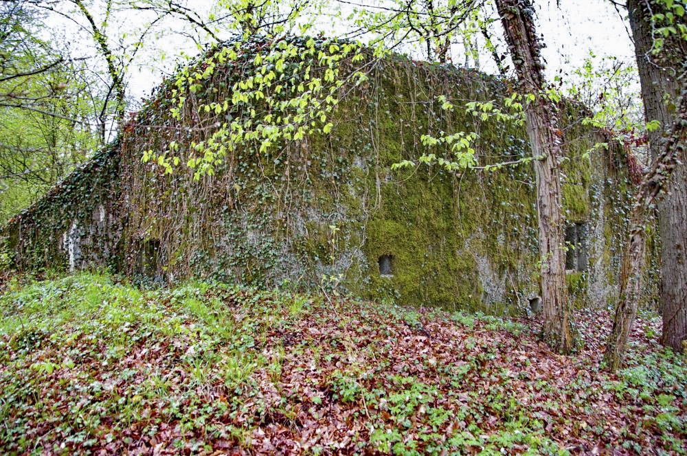 Ligne Maginot - PA DU CARREFOUR 248-1 - (Blockhaus pour canon) - 