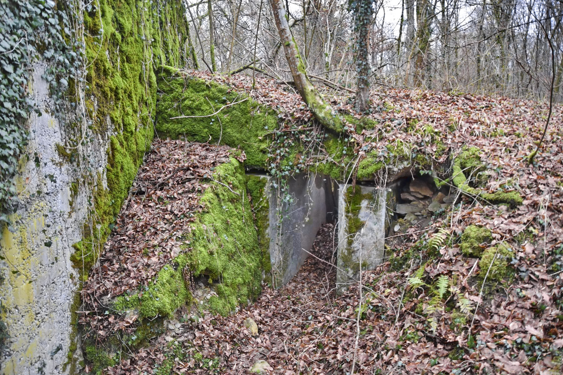 Ligne Maginot - PA DU CARREFOUR 248-3 - (Cuve pour arme d'infanterie) - Entrée vers la tourelle démontable