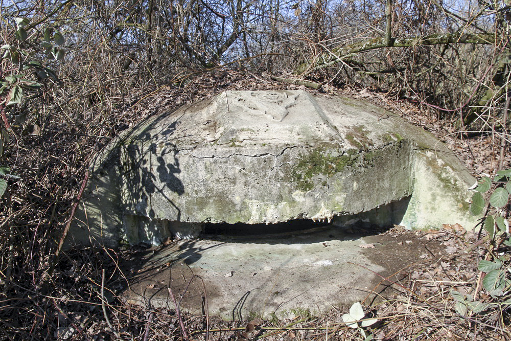 Ligne Maginot - MOULIN DE DESSENHEIM 2 - (Blockhaus pour arme infanterie) - La coupole avec sa plaque du 4ème BCP