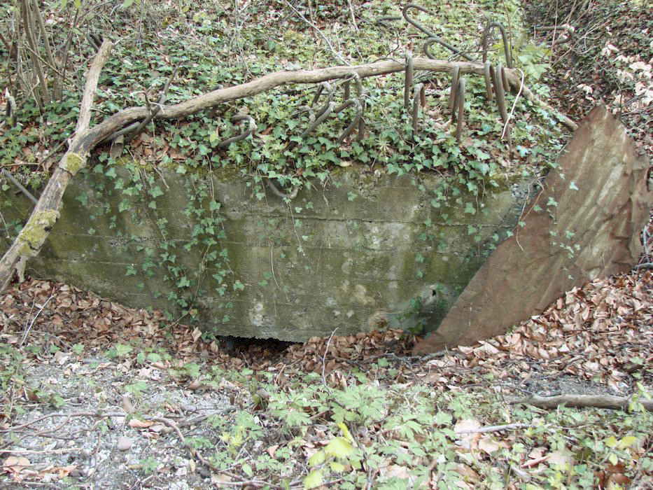 Ligne Maginot - CB150 - HASDORFEROD NORD - (Blockhaus pour arme infanterie) - 