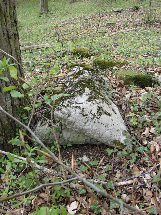 Ligne Maginot - CB150 - HASDORFEROD NORD - (Blockhaus pour arme infanterie) - Sacs de ciment laissés à l'abandon.