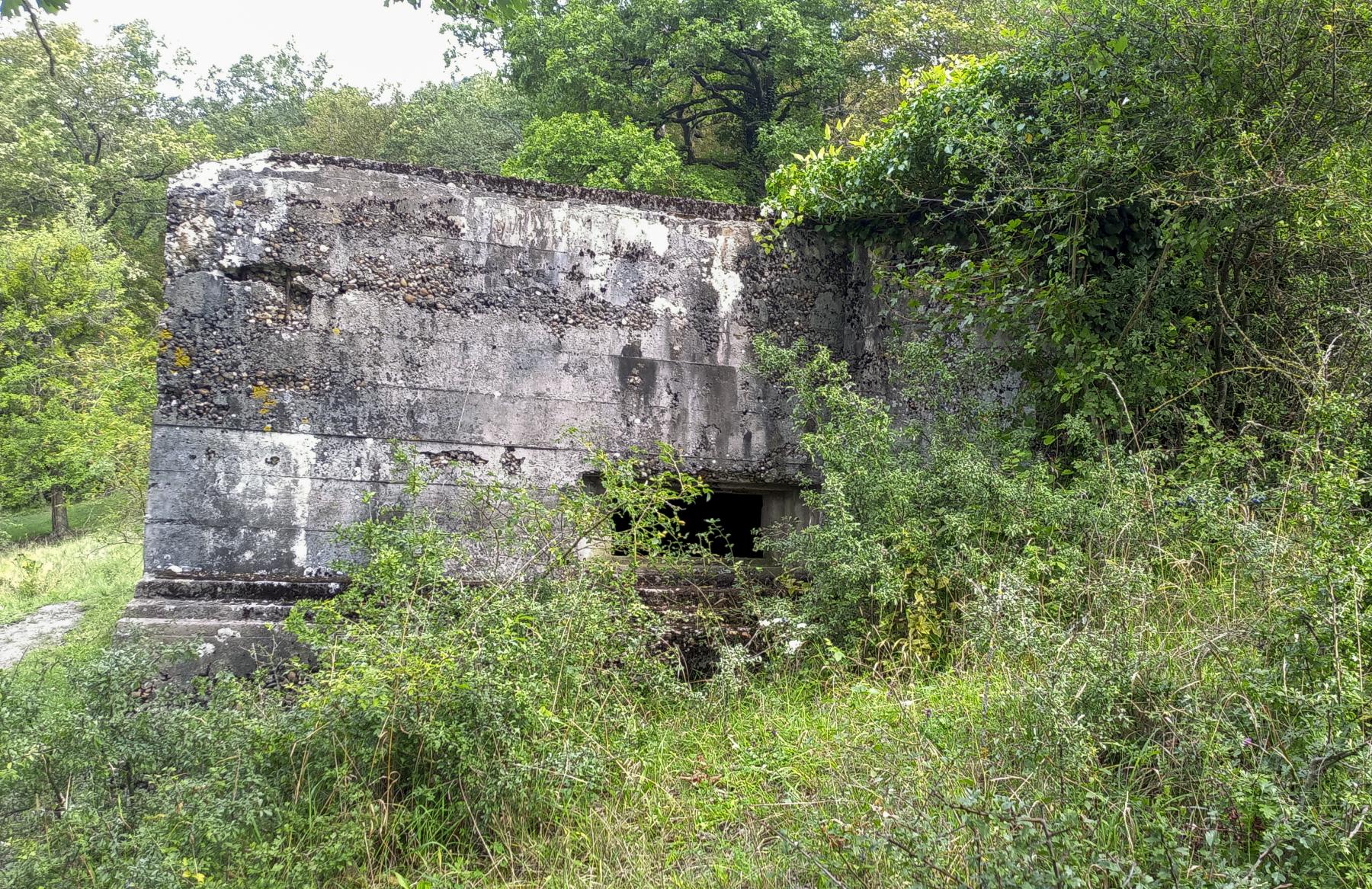 Ligne Maginot - CB1-B - HASDORFEROD SUD - (Blockhaus pour canon) - 