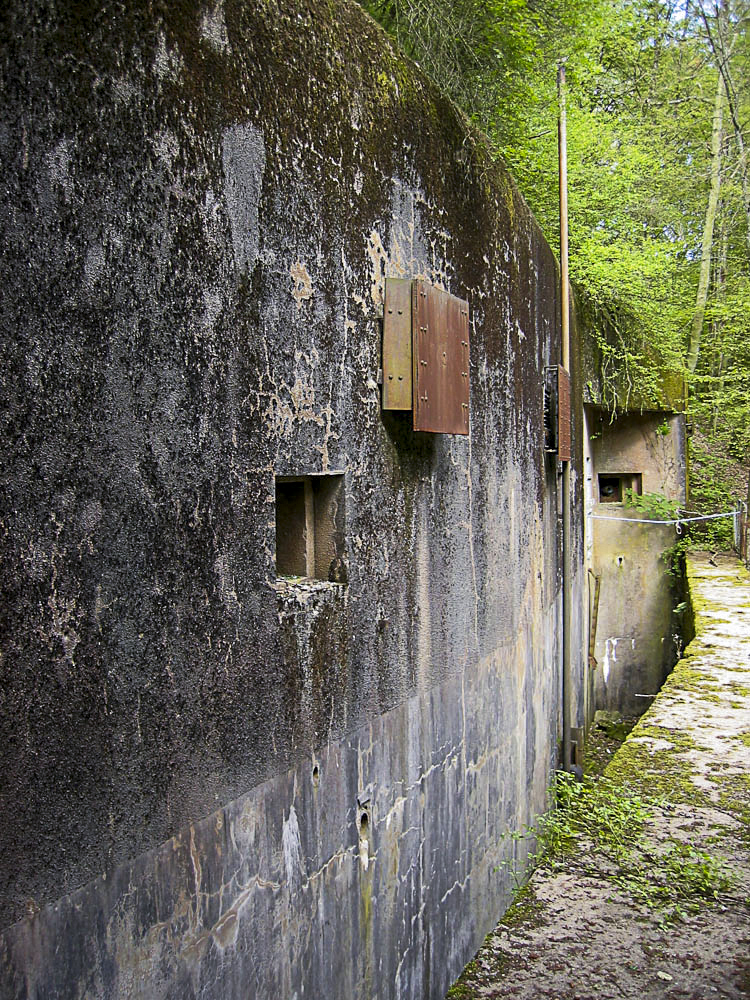 Ligne Maginot - ZEITERHOLZ - X6 - (Abri) - Façade arrière de l'abri et fossé diamant