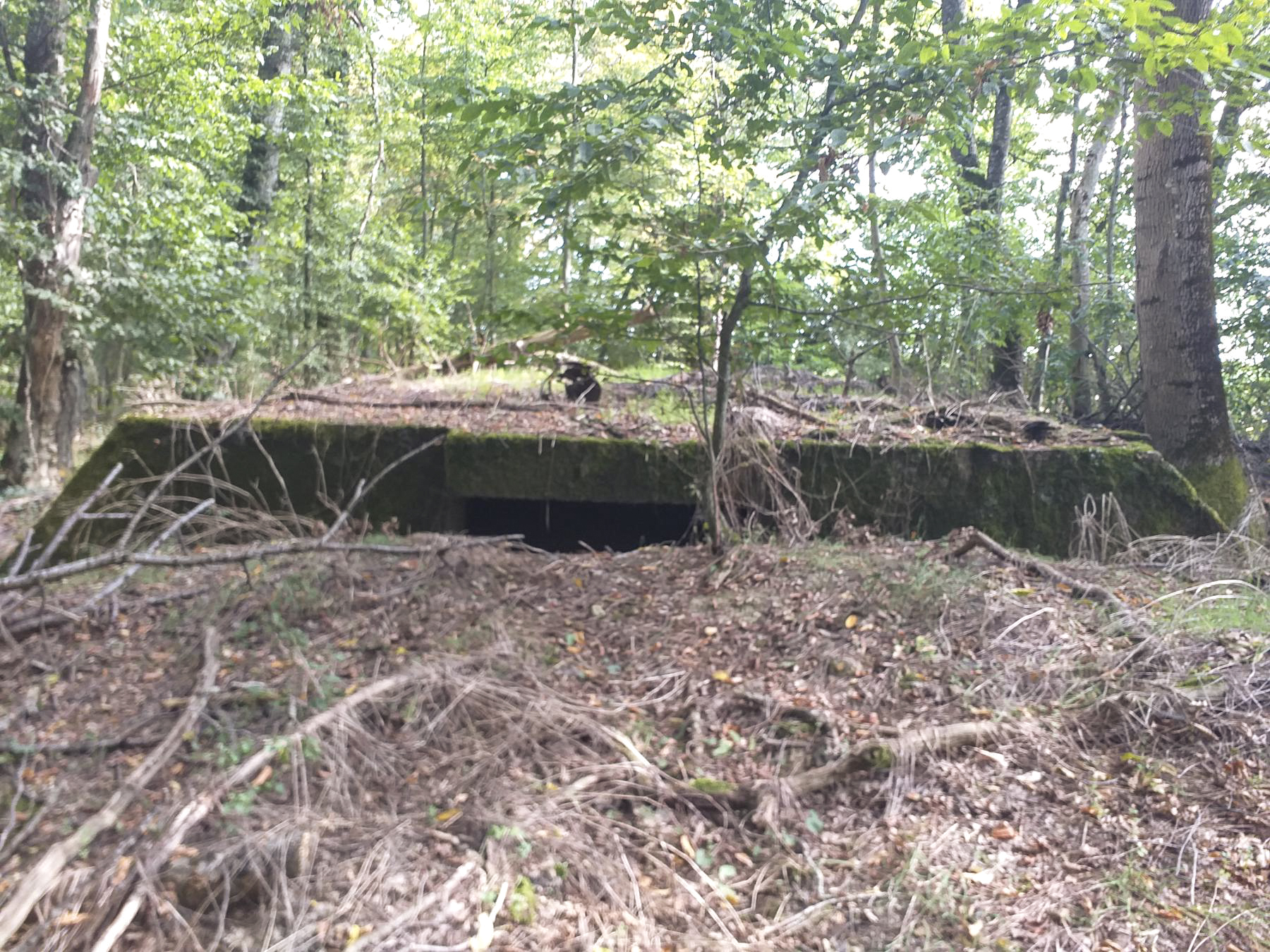 Ligne Maginot - NACHTWEID - (Blockhaus de type indéterminé) - 