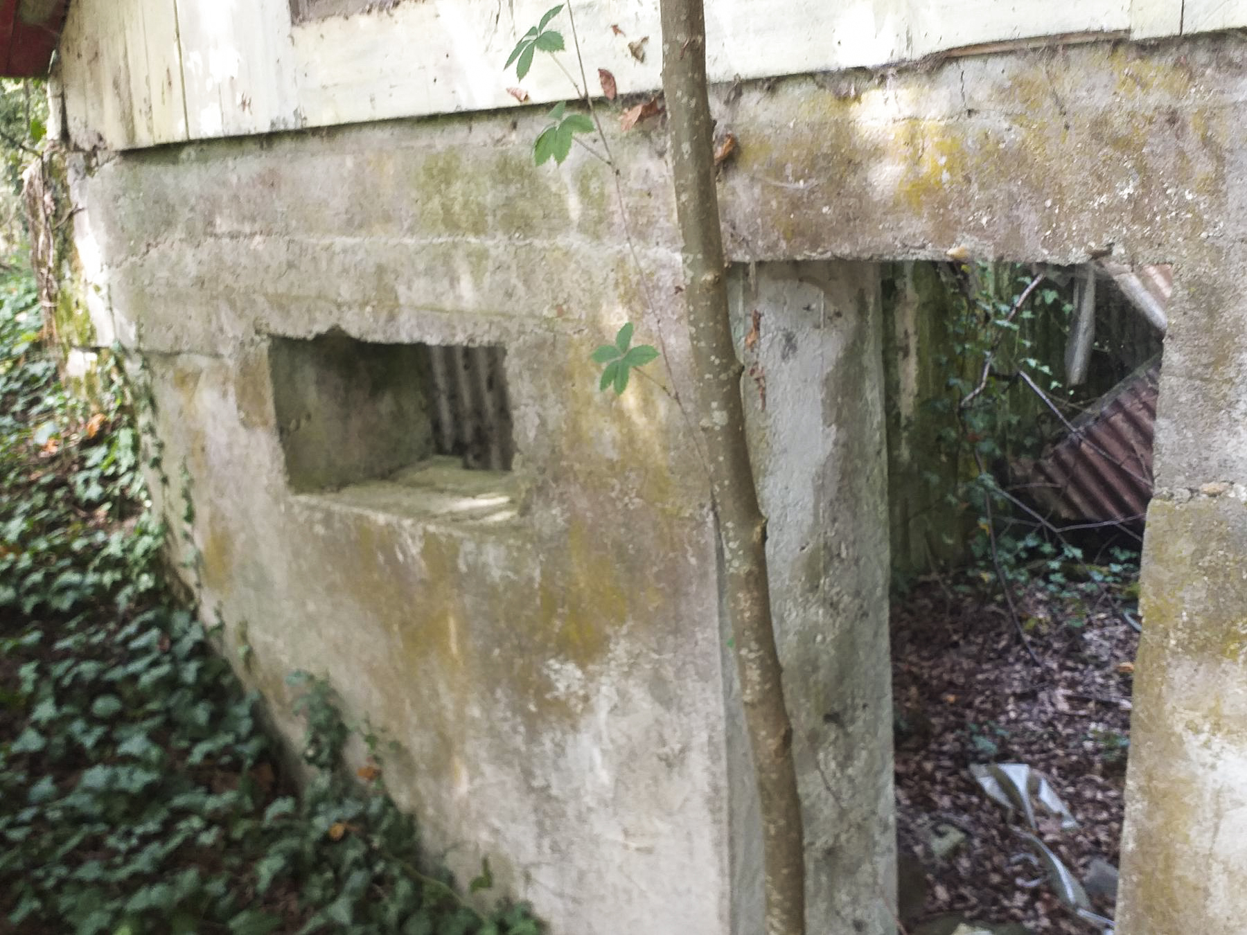 Ligne Maginot - NACHTWEID - (Blockhaus de type indéterminé) - Petit casernement à proximité