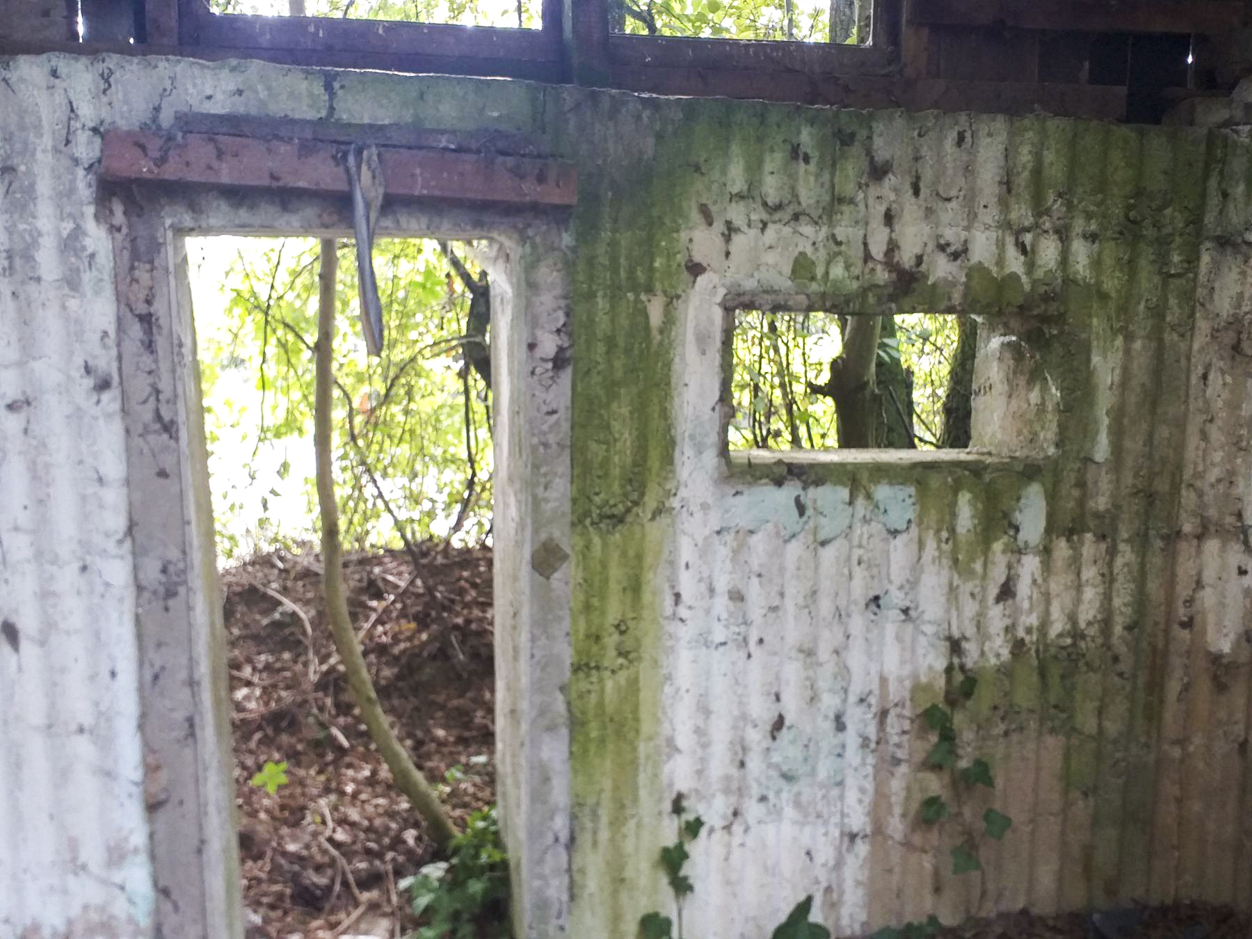 Ligne Maginot - NACHTWEID - (Blockhaus de type indéterminé) - Petit casernement à proximité