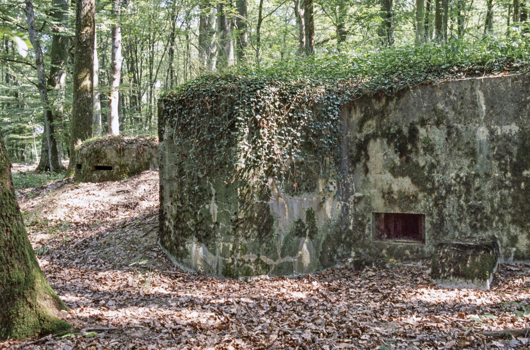 Ligne Maginot - OBERHEIDE - 114C - (Blockhaus pour arme infanterie) - On remarquera la présence d'un petit observatoire à proximité immédiate. Il n'est pas relié toutefois directement au blockhaus.