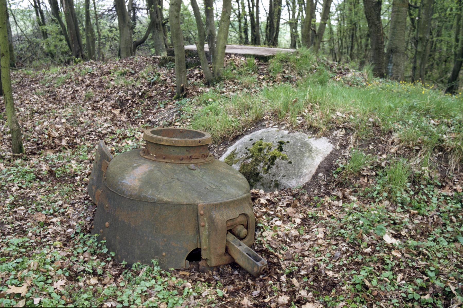 Ligne Maginot - TAUBRUNNENWALD 12 - FT - (Blockhaus pour arme infanterie) - L'emplacement 