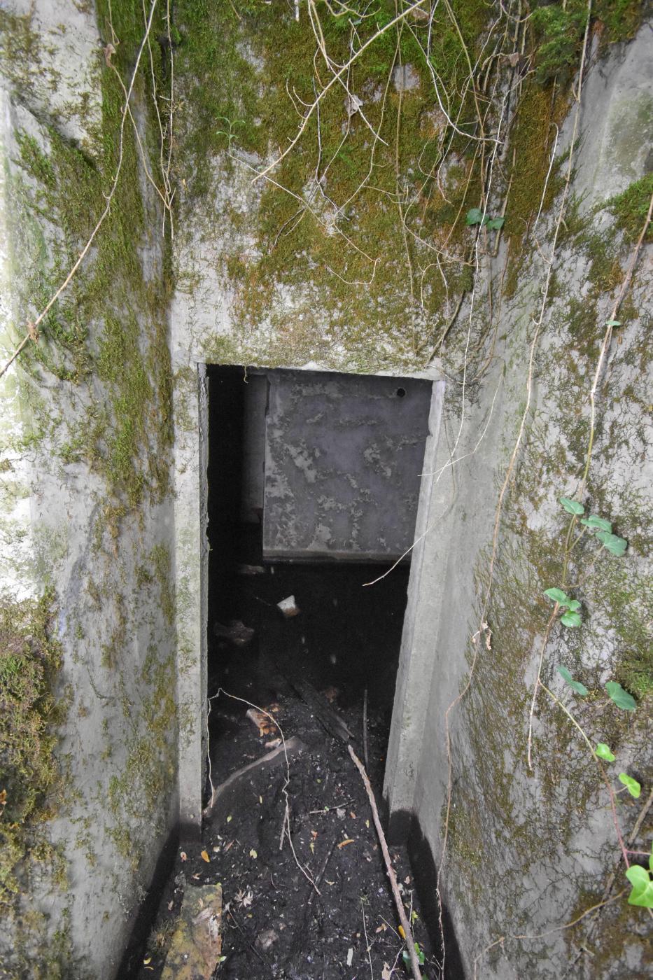 Ligne Maginot - PA DU CARREFOUR 248-3 - (Cuve pour arme d'infanterie) - Vue vers l'abri depuis la cuve