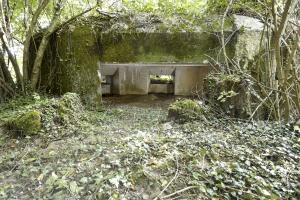 Ligne Maginot - B636 - BOIS D'ELESMES - (Blockhaus pour canon) - 