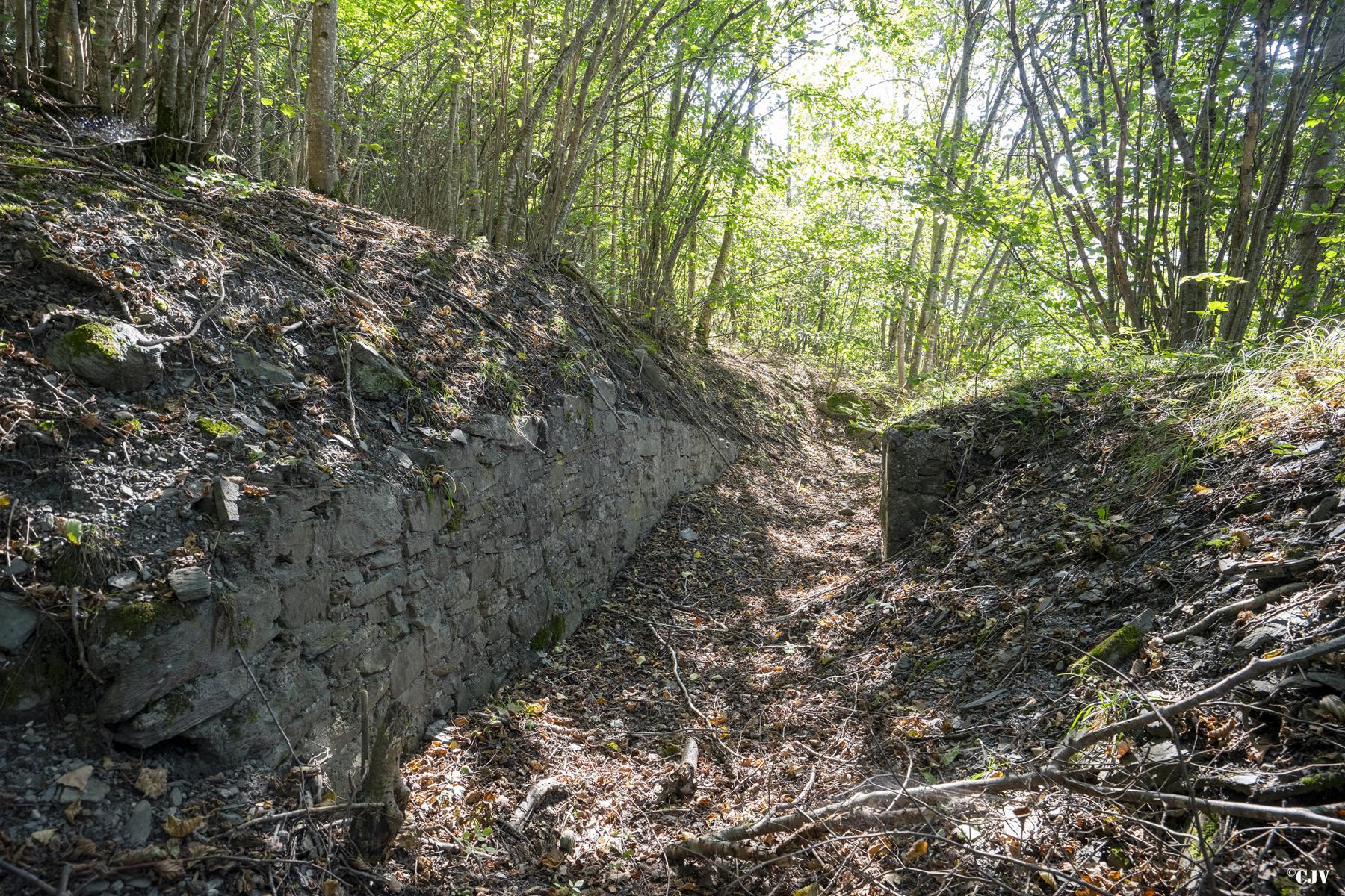 Ligne Maginot - LES EULETS - (Blockhaus pour canon) - La tranchée vers le blockhaus