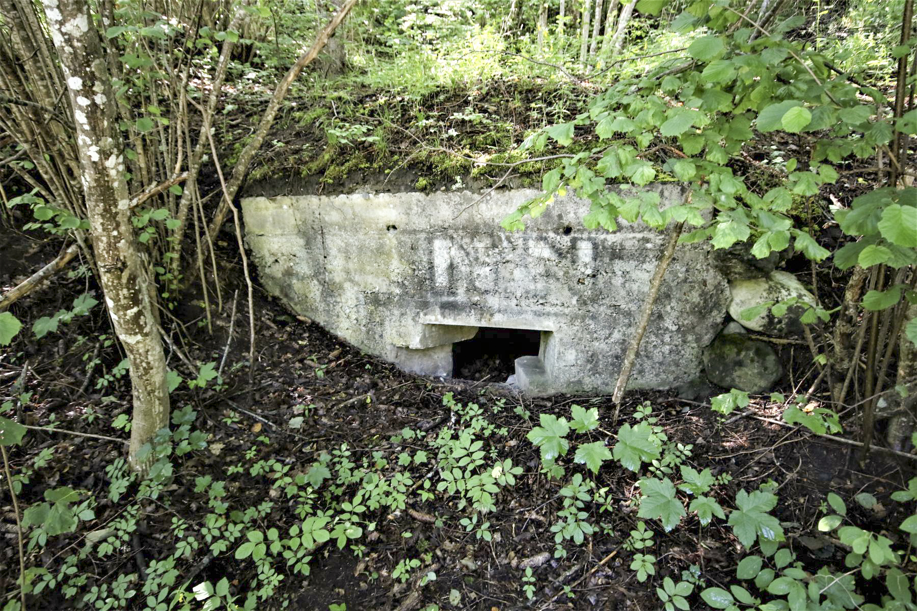 Ligne Maginot - LES EULETS - (Blockhaus pour canon) - Créneau