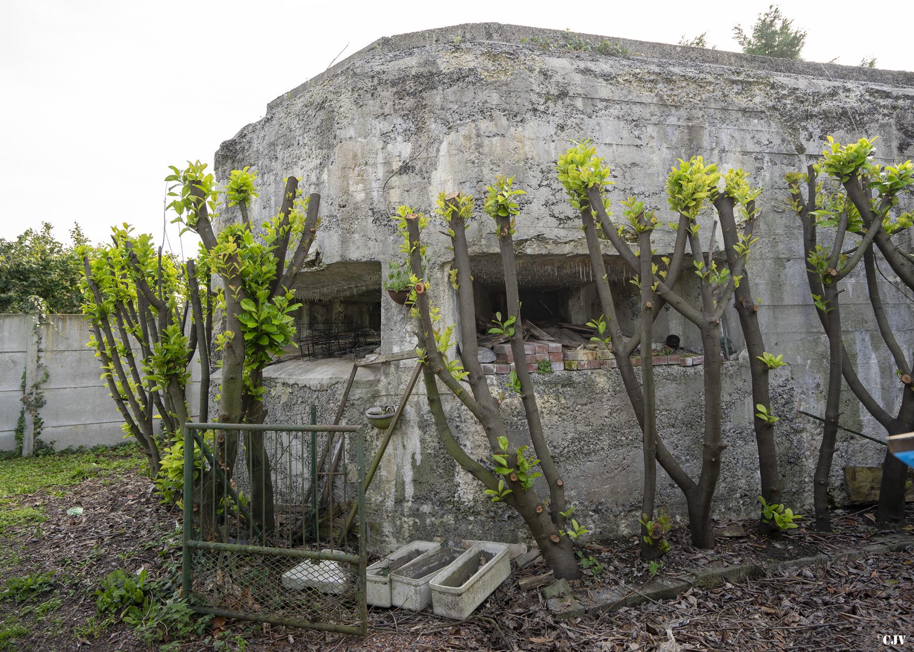 Ligne Maginot - VICQ  NORD - (Blockhaus lourd type STG / STG-FCR - Double) - Les créneaux du poste d'observation
Les autres créneaux sont murés