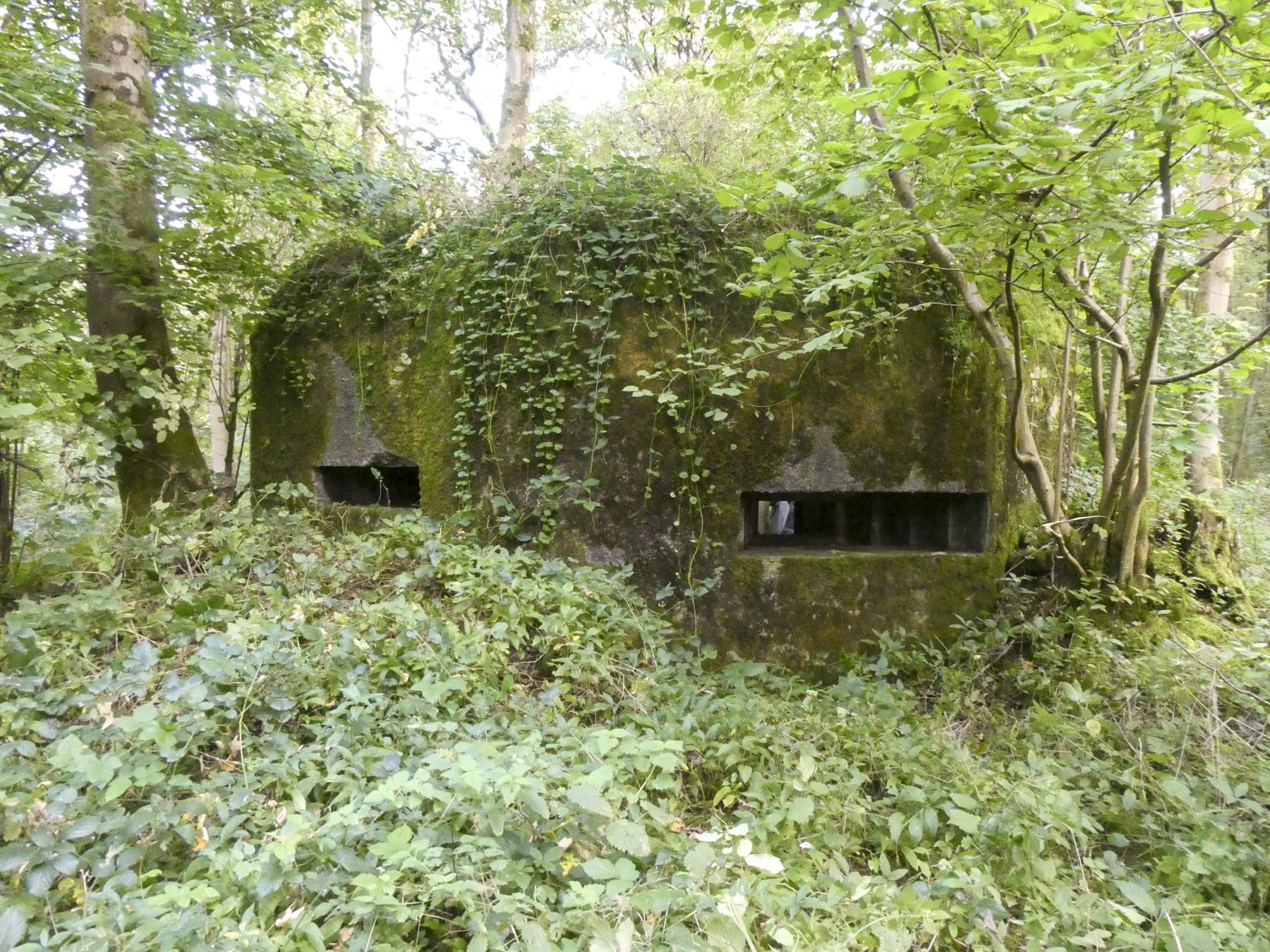 Ligne Maginot - B593 - BOIS DES LANIERES 5 - (Blockhaus pour canon) - 