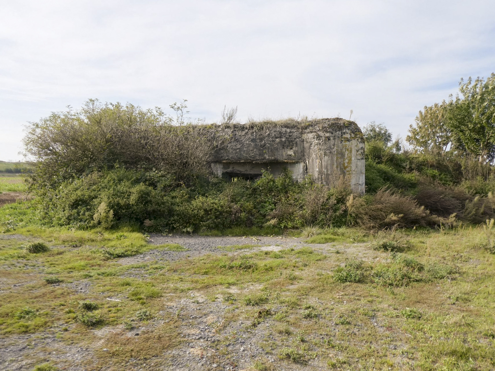 Ligne Maginot - A58 - JENLAIN OUEST - (Blockhaus pour canon) - 